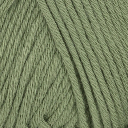 Viking Bamboo